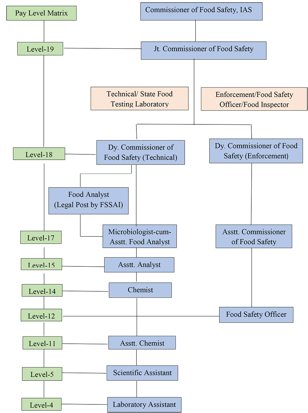 Organisational Chart